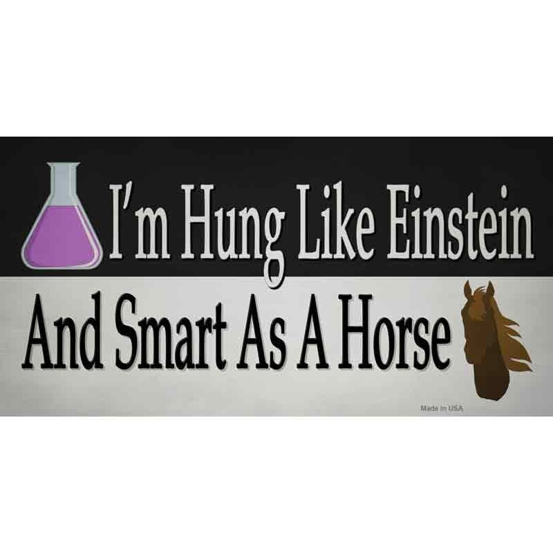I'm Hung Like Einstein and Smart As a Horse Sticker Decal - 6x3 Inch - Funny Sticker Decal - Water Resistant Car Truck Window Craft Supply