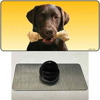 Chocolate Labrador Retriever Dog Lapel Pin - Pet Lover Dog Breed Chocolate Lab Metal Hat Pin Backpack Tie Shirt Button Pinback Craft Supply