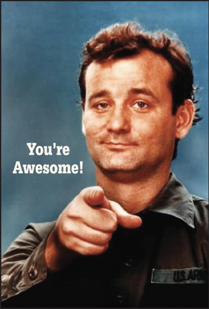 You're Awesome! Bill Murray Funny RECTANGLE MAGNET