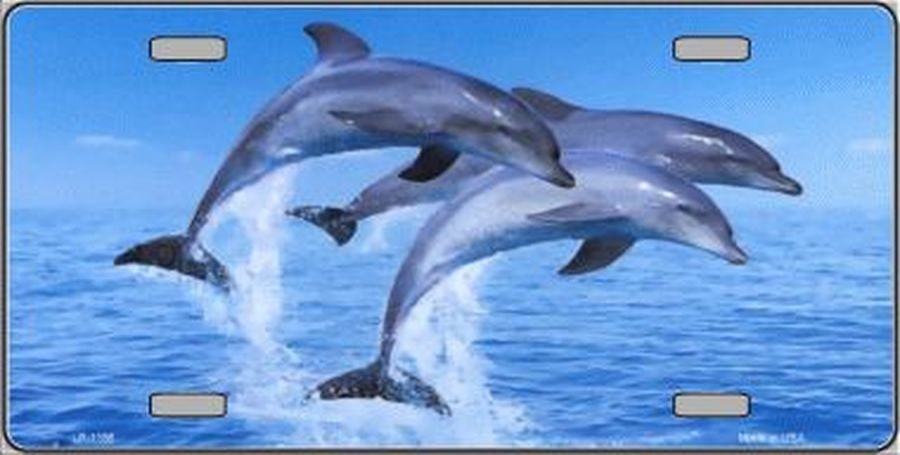 DOLPHINS Swimming Metal License Plate Craft Supply