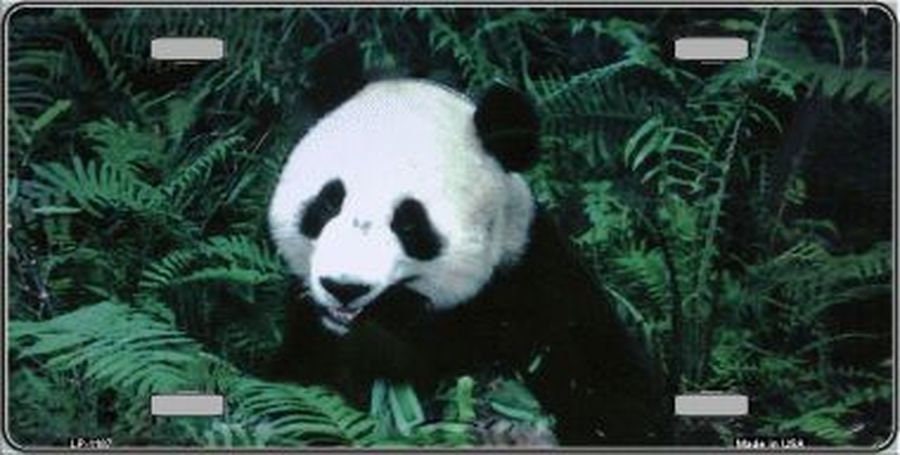 PANDA BEAR Metal License Plate