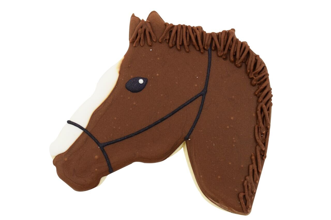 HORSE HEAD Cookie Cutter Metal 4.5 Inches - Stencil Fondant Horses Barn Farm Riding Craft Supply