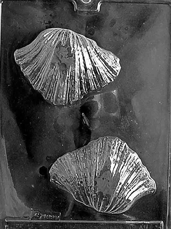 BEAR CLAW SHELL Chocolate Candy Mold
