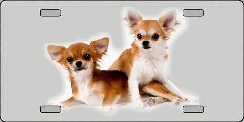 Chihuahua Dog Metal License Plate dog lovers