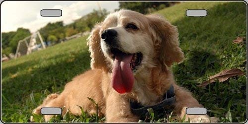 COCKER SPANIEL Dog Metal License Plate dog lovers