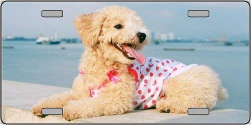 POODLE Dog Metal License Plate dog lovers Craft Supply