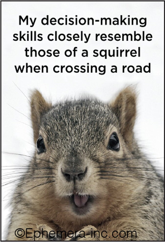 My decision-making skills closely resemble those of a squirrel when crossing a road Funny RECTANGLE MAGNET Craft Supply