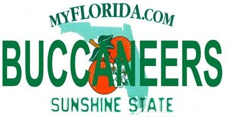 BUCCANEERS Florida State Background Metal License Plate