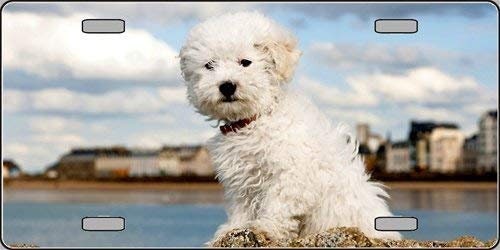 BICHON FRISE Metal License Plate dog lovers