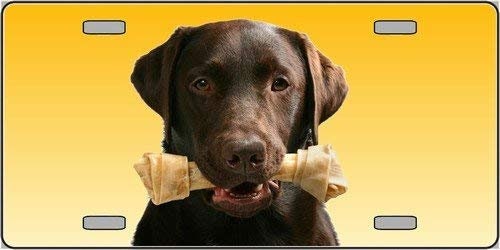 Chocolate Labrador Dog Metal License Plate dog lovers