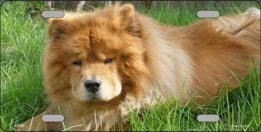 CHOW CHOW Dog Metal License Plate dog lovers Craft Supply