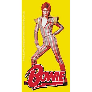 DAVID BOWIE Pose Sticker Decal - Rock Band
