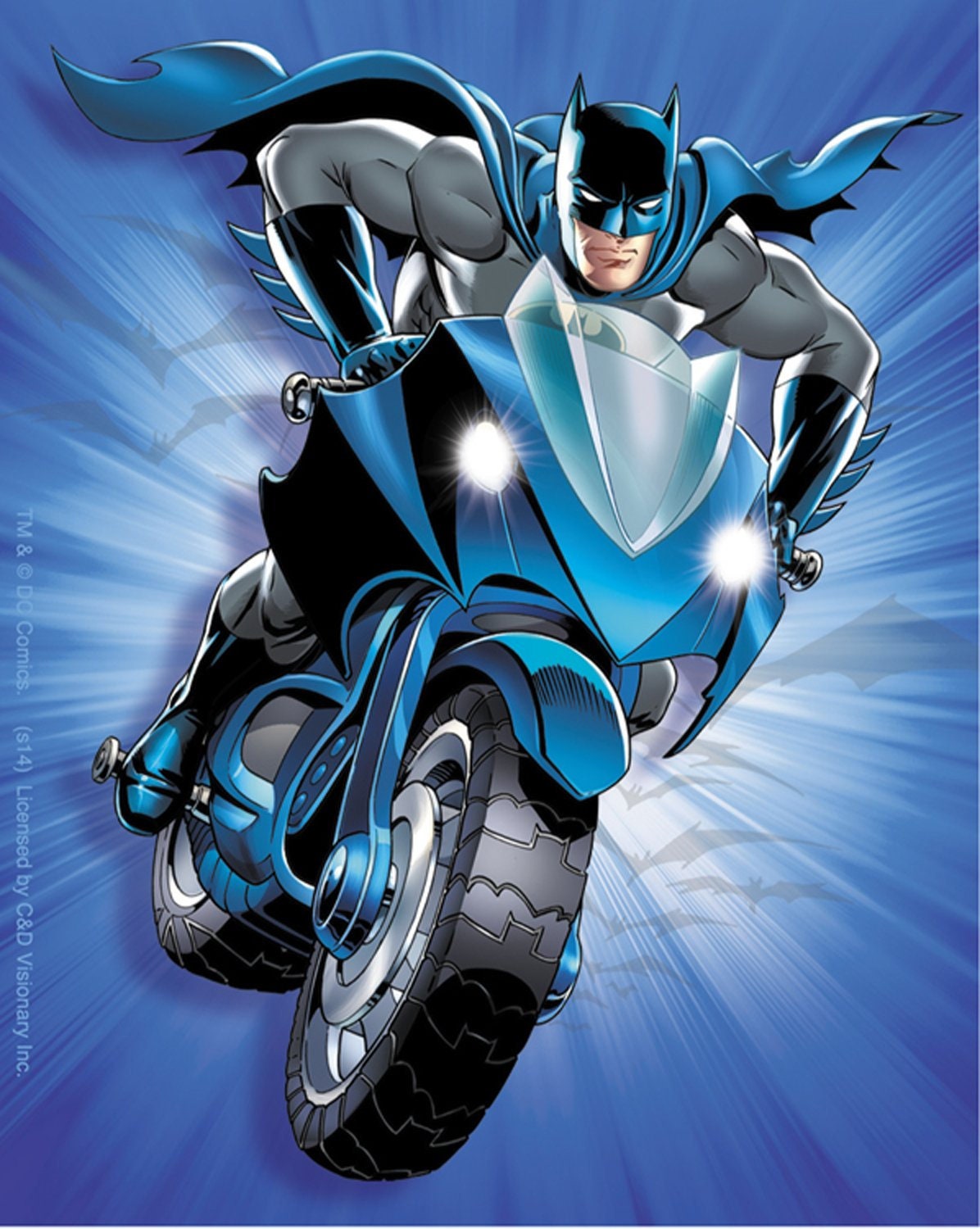 BATMAN Bat Cycle Bike Motorcycle Sticker Decal - DC Comics Robin