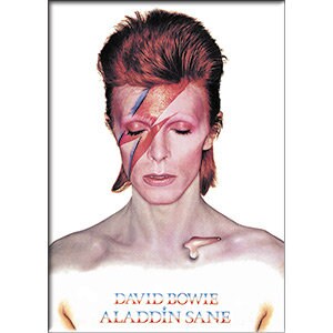 DAVID BOWIE Aladdin Magnet for Refrigerators and Lockers - Rock Band
