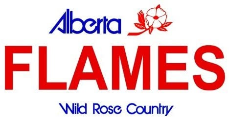 FLAMES Alberta Canada Background Metal License Plate Sign Novelty Vanity
