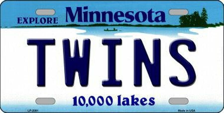 TWINS Minnesota State Background Metal License Plate Sign Novelty Vanity Baseball