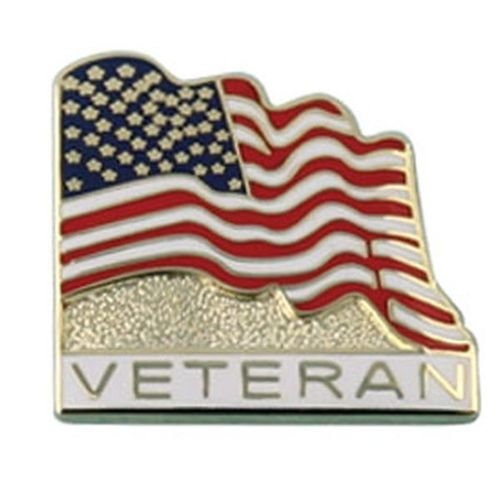 MILITARY VETERAN Lapel Pin - American Flag Veteran United States Enamel Pin for Backpack Tie Shirt Trading Button Pinback