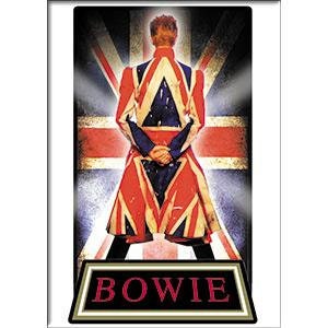 DAVID BOWIE Earthling Magnet for Refrigerators and Lockers - Rock Band