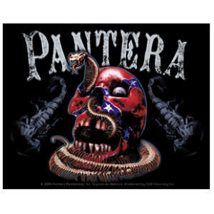 PANTERA Snake and Scorpions Sticker Decal - American Heavy Metal Band Vinyl Decal Sticker Craft Supply