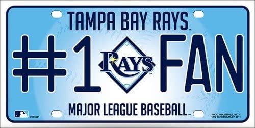 TAMPA BAY RAYS Fan Metal License Plate Sign Novelty Vanity Craft Supply