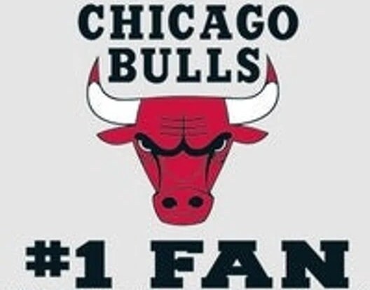 Officially Licensed CHICAGO BULLS #1 FAN Multi-Use Color Decal - Chicago Bulls Basketball Vinyl Decal Sticker Car Truck Window Craft Supply