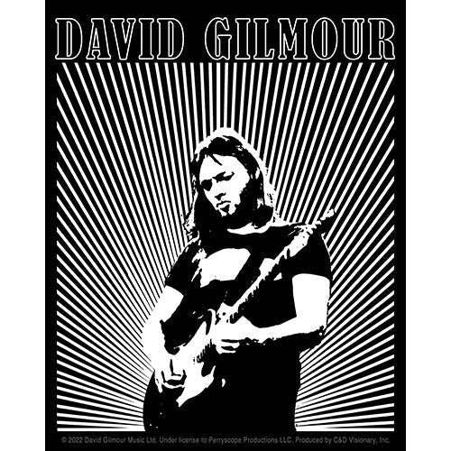 DAVID GILMOUR Lines Logo Sticker Decal - 4x5 Inch - Pink Floyd Guitarist Rock Band Vinyl Decal Sticker Craft Supply