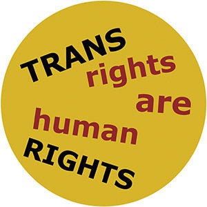 Trans Rights Are Human Rights LGBTQ+ Sticker Decal - 4 Inch - Equality For All Gay Pride Rainbow Ally Gift Vinyl Decal Sticker Craft Supply