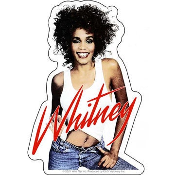 WHITNEY HOUSTON Denim Pose Sticker Decal - 3.75x5.5 Inch - American Singer Actress Music Legend Vinyl Decal Sticker Craft Supply
