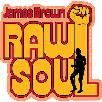 JAMES BROWN Raw Soul Sticker Decal - 4.6x4.7 Inch - R&B Soul Funk Music Legend Vinyl Decal Sticker Craft Supply