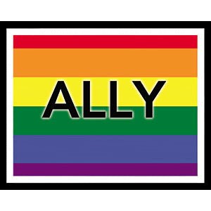 ALLY Flag B&W Outline LGBTQ+ Sticker Decal - 5x4 Inch - Equality For All Gay Pride Rainbow Ally Gifts Vinyl Decal Sticker Craft Supply