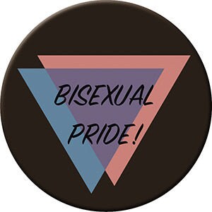 Bisexual Pride LGBTQ+ Magnet - 2.5x3.5 Inch - Magnet for Refrigerators and Lockers - Gay Pride Rainbow(Fridge Magnet)
