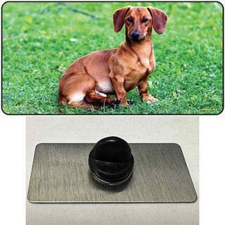 Dachshund Dog Lapel Pin - Pet Lover Dog Breed Dachshund Metal Hat Pin Backpack Tie Shirt Button Pinback Craft Supply