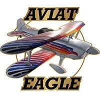 AVIAT EAGLE Aircraft Plane Lapel Pin -   Christen Eagle Aerobatic Sporting Biplane Enamel Pin Backpack Tie Shirt Trading Button Pinback