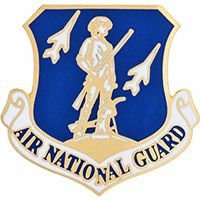 Air National Guard Lapel Pin - United States Air Force USAF U.S. - Enamel Pin Backpack Tie Shirt Trading Button Pinback Craft Supply