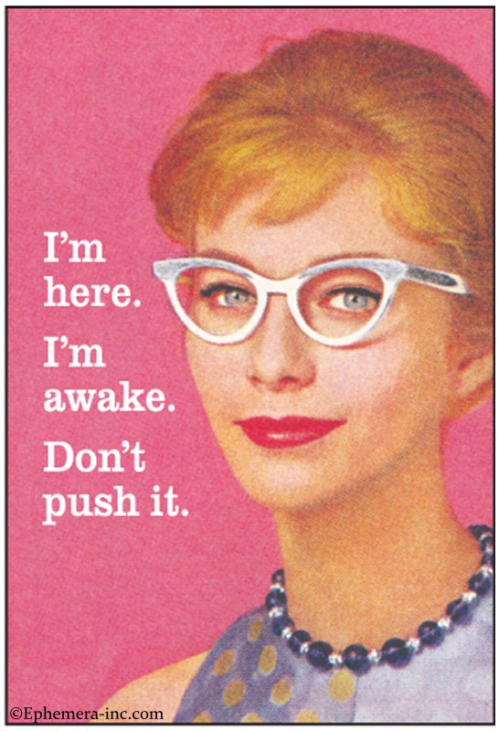 I'm Here. I'm Awake. Don't Push It. Funny RECTANGLE MAGNET