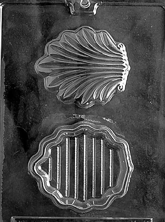 SHELL POUR BOX Chocolate Candy Mold