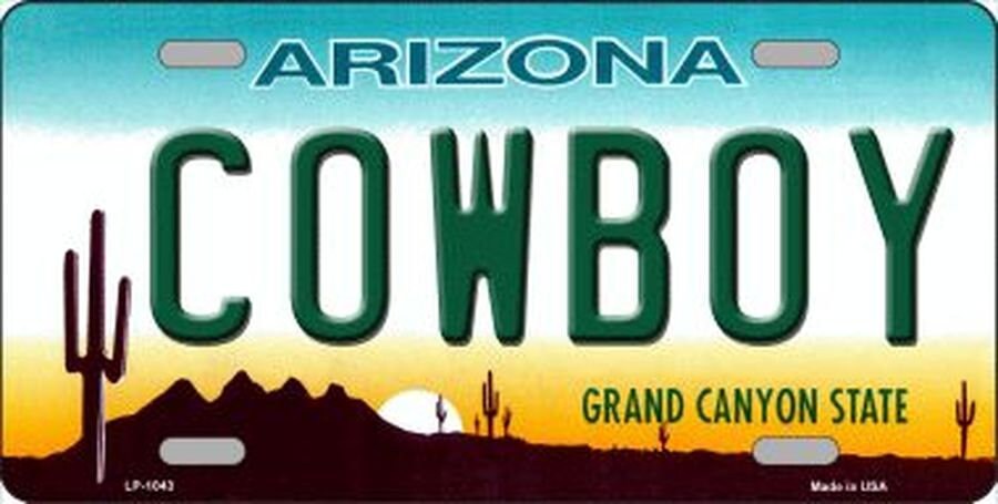 ARIZONA COWBOY State Background Metal License Plate Craft Supply