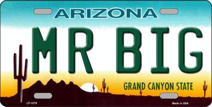 MR BIG ARIZONA State Background Metal License Plate Craft Supply