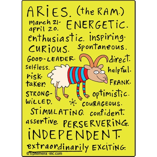 Aries Nice Zodiac Sign Clayboys Funny RECTANGLE MAGNET