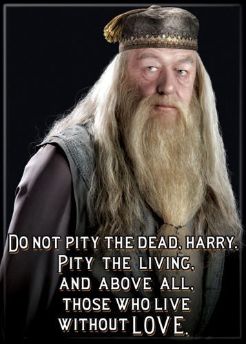HARRY POTTER Dumbledore Without Love Magnet for Refrigerators and Lockers Movie