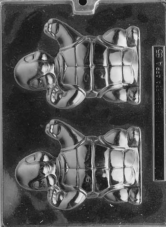 HAPPY TURTLE Chocolate Candy Mold Craft Supply