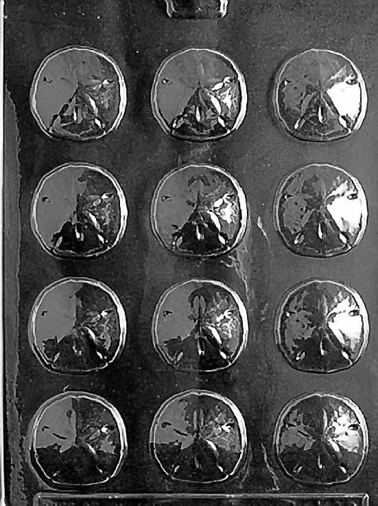 SAND DOLLAR Bite Size Chocolate Candy Mold Craft Supply