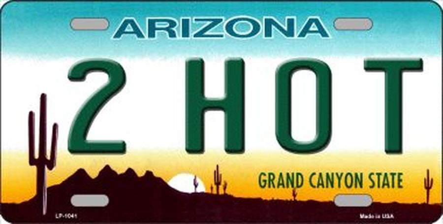 ARIZONA 2 HOT State Background Metal License Plate