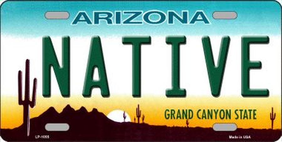 ARIZONA NATIVE State Background Metal License Plate