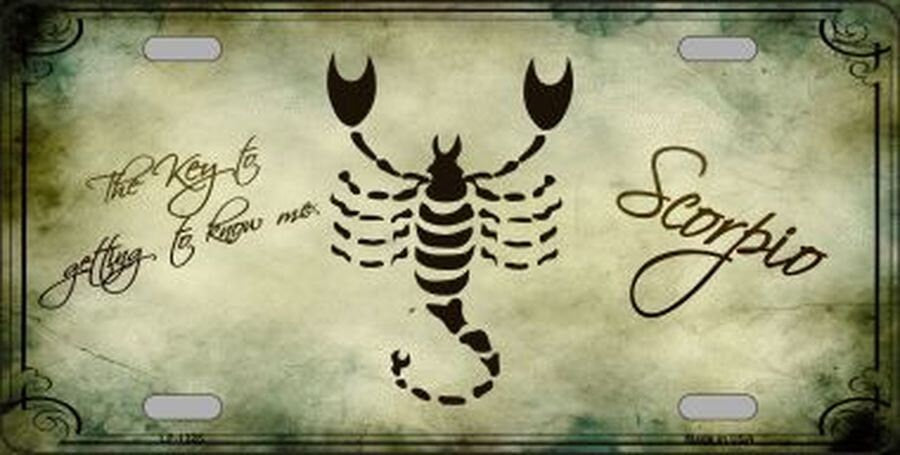 SCORPIO ZODIAC Metal License Plate Craft Supply