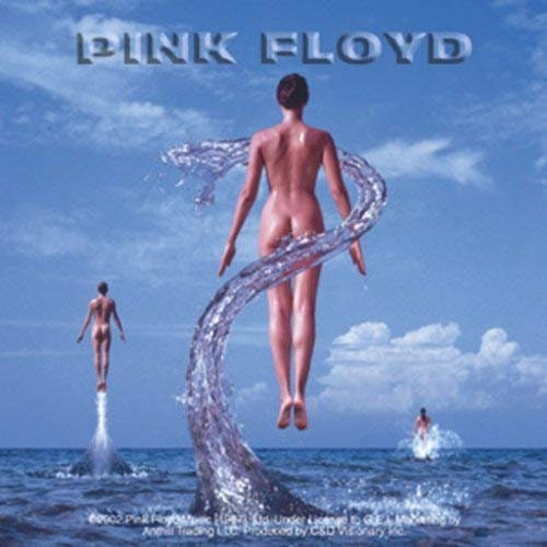 PINK FLOYD Shine On Sticker Decal - Rock Band
