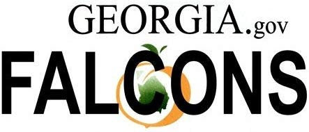 FALCONS Georgia State Background Metal License Plate Craft Supply