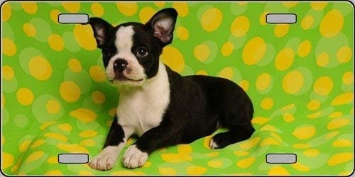 BOSTON TERRIER Metal License Plate dog lovers