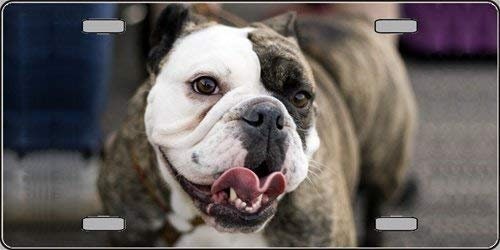 BULLDOG Metal License Plate dog lovers Craft Supply