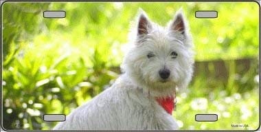 WEST HIGHLAND Dog Metal License Plate dog lovers
